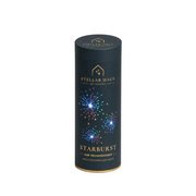 Stellar Haus Seed Lights Rechargeable Starburst Silver Rainbow