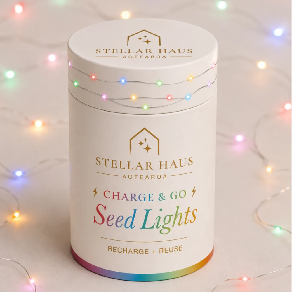 Stellar Haus Seed Lights Rechargeable 2m Charge & Go Silver Rainbow