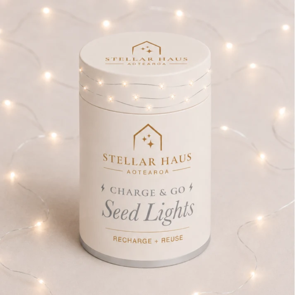 Stellar Haus Seed Lights Rechargeable 2m Charge & Go Silver Warm White