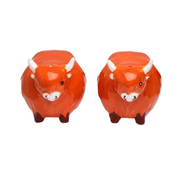 Highland Coo Cow Ceramic Salt & Pepper Set