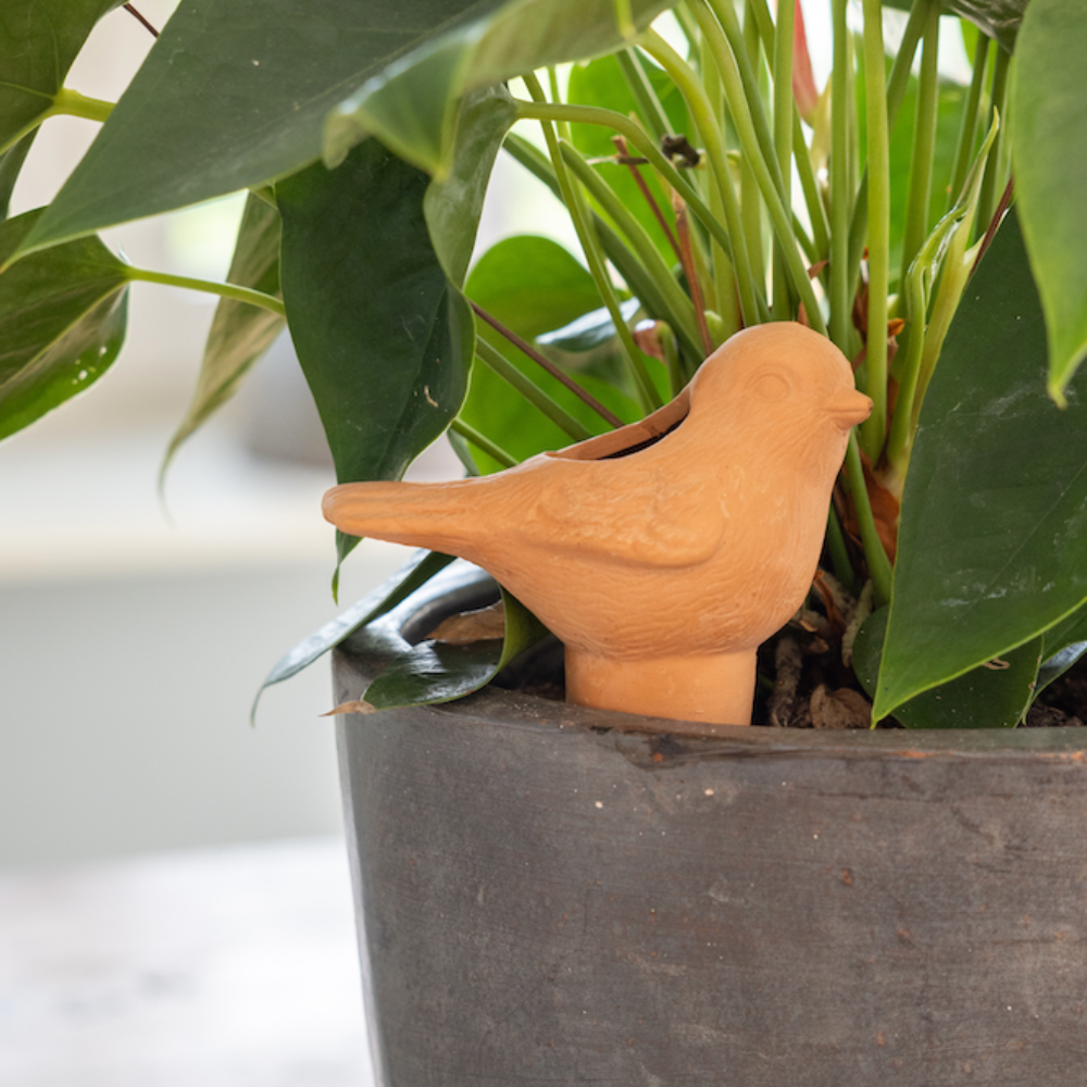 Plant Waterer Terracotta Bird