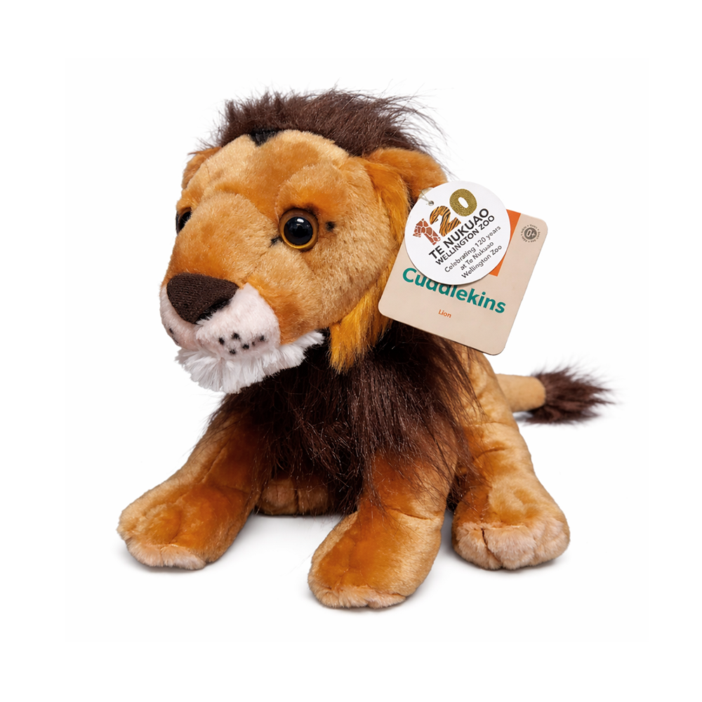 Cuddlekins 120 Year Te Nukuao Wellington Zoo Lion