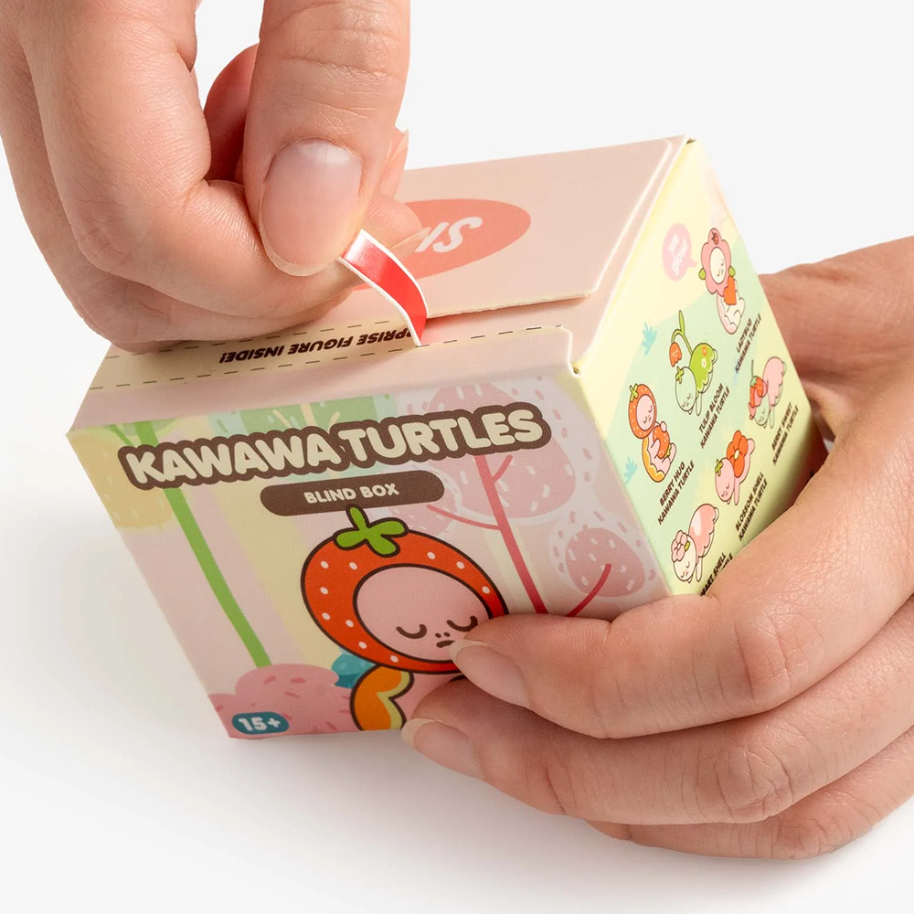 Smoko Kawawa Turtles Blind Box Figure