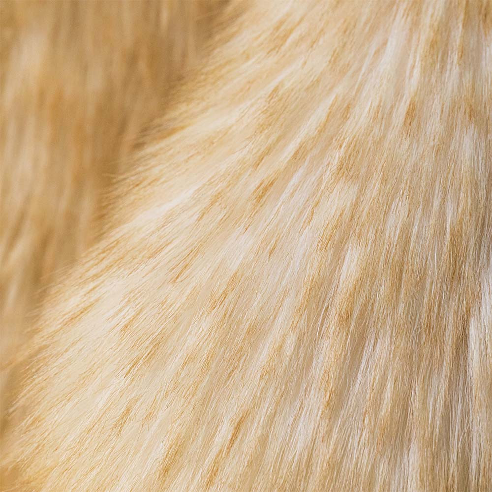 Jellycat Bashful Bunny Springlowe Luxe Big