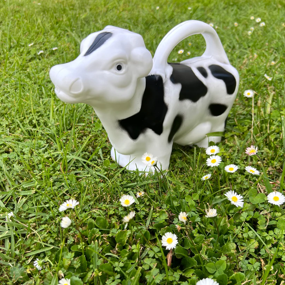 Watering Can Cow