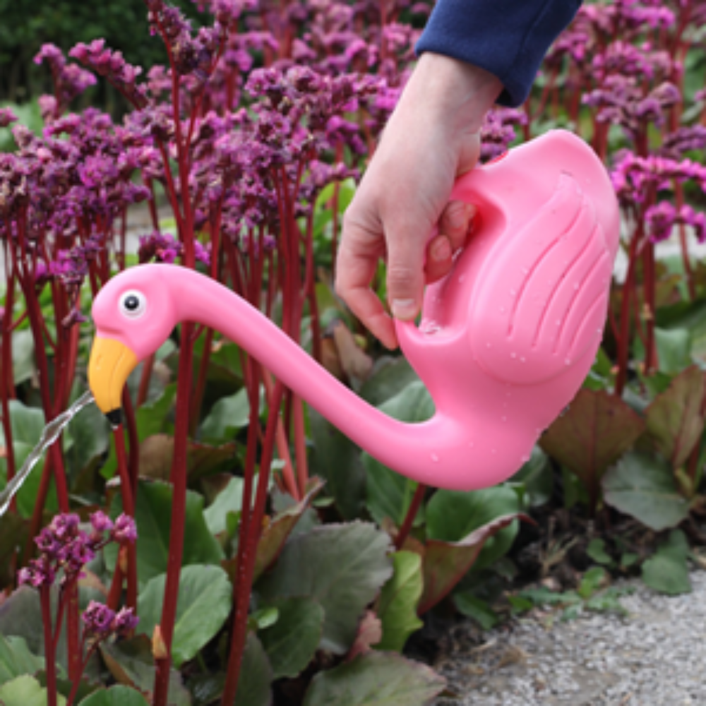 Watering Can Flamingo