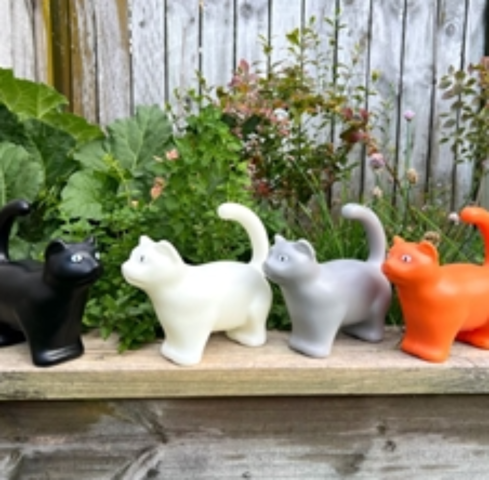 Watering Can Cat Assorted
