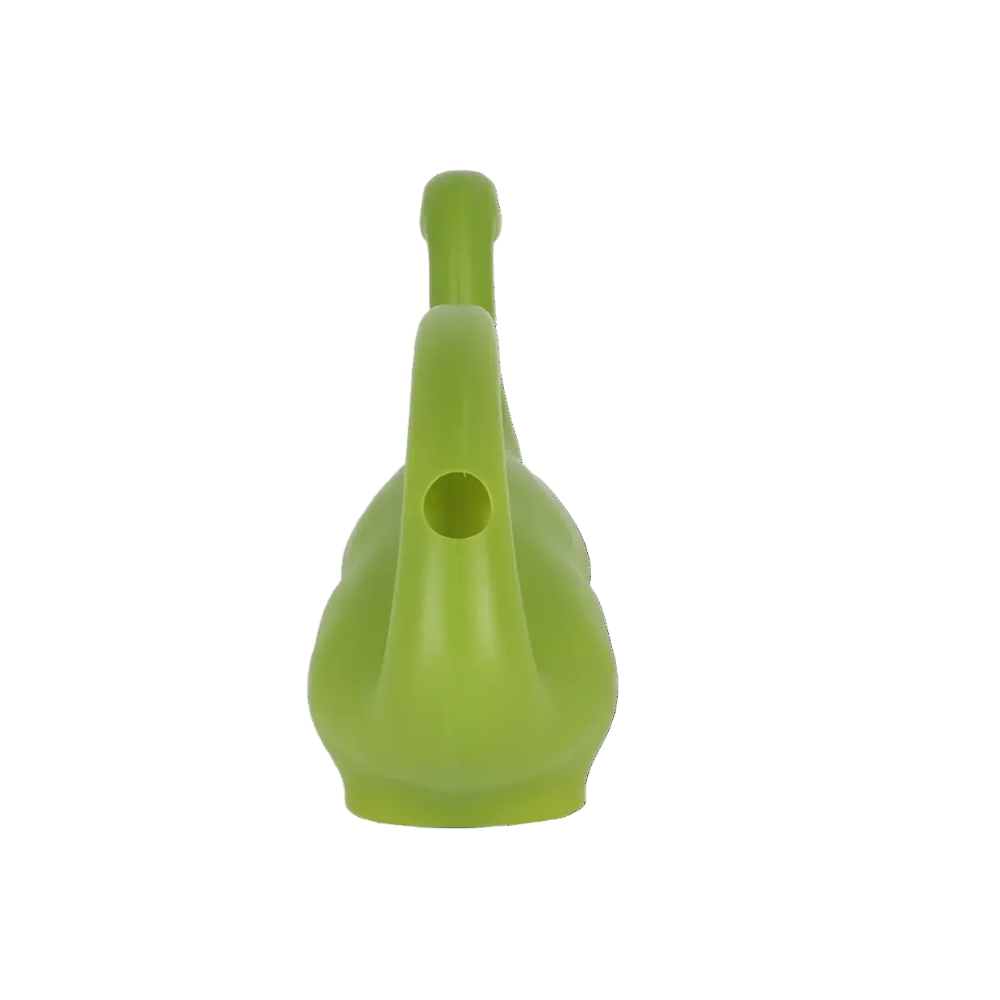 Watering Can Stegosurus