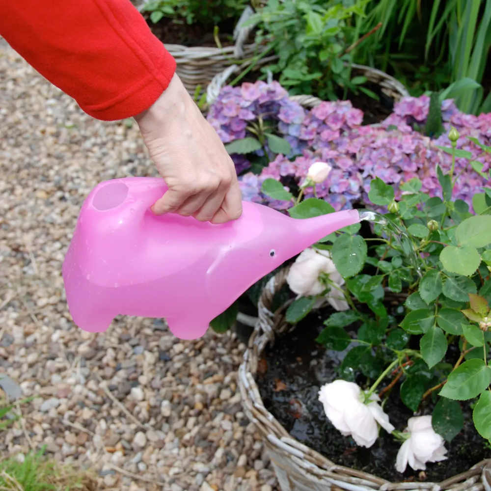 Watering Can Elephant Assorted