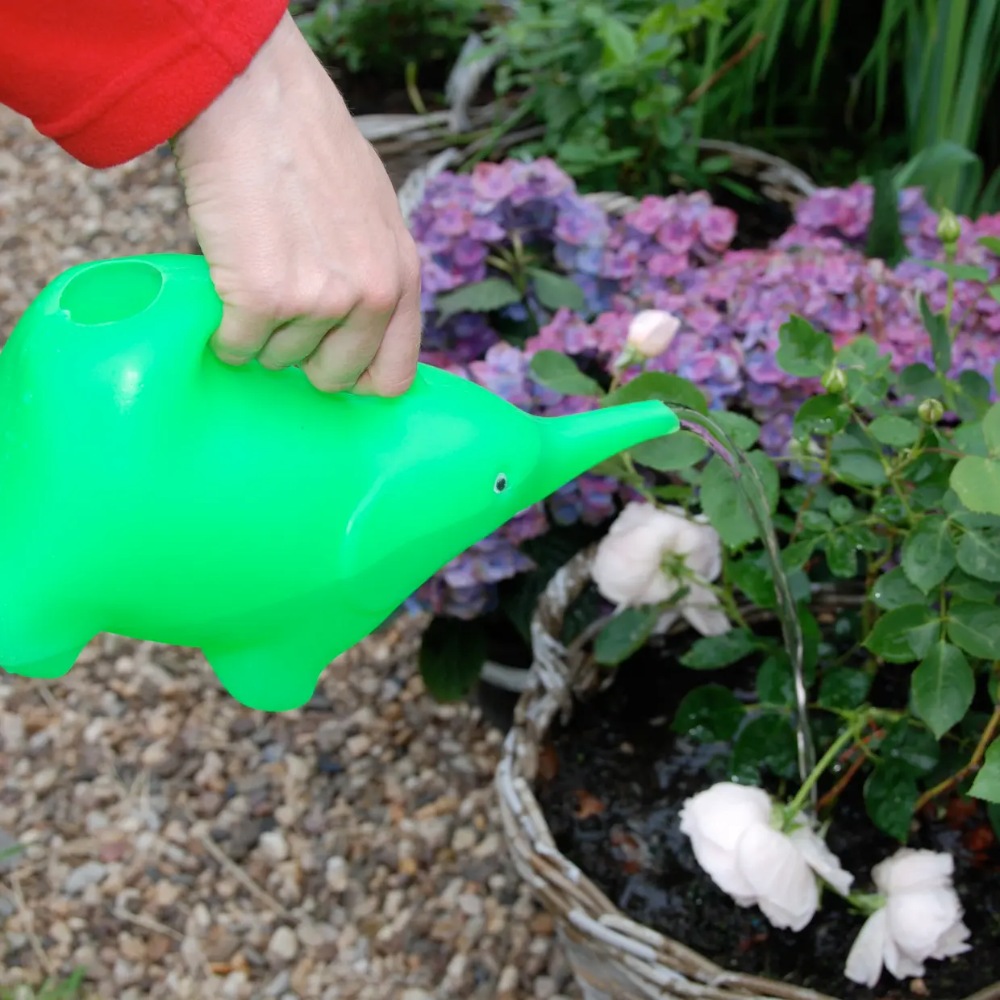 Watering Can Elephant Assorted