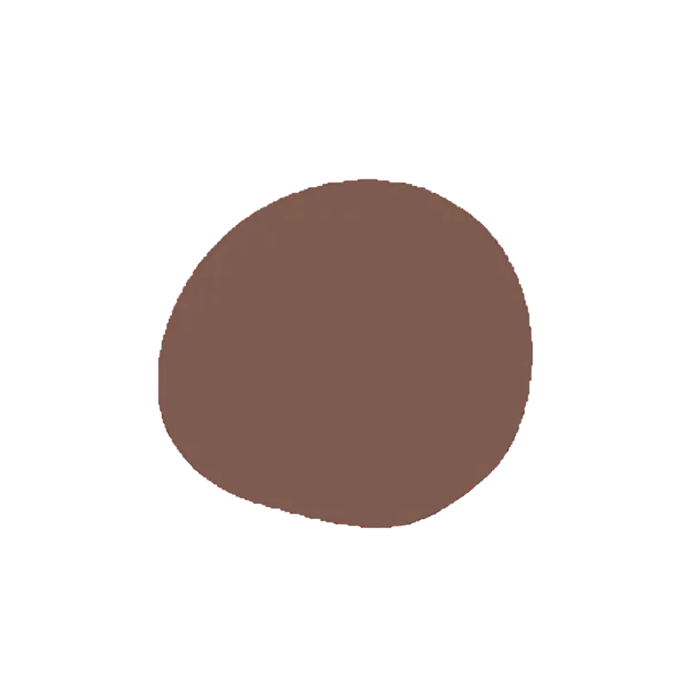A solid brown color swatch displayed on a clean white background.