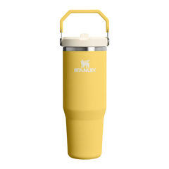 Stanley IceFlow Flip Straw Tumbler 30oz Daffodil