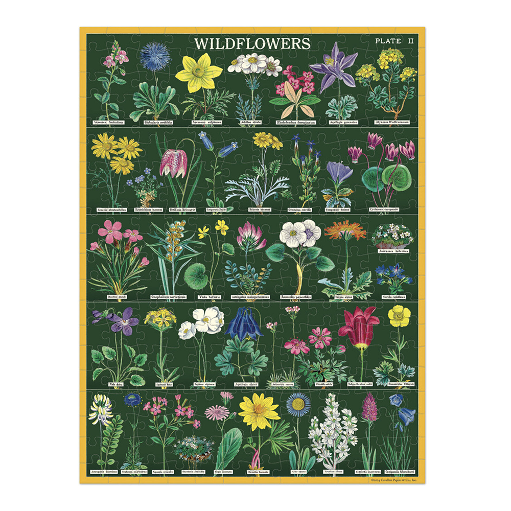 Cavallini 240 Piece Puzzle Wildflowers