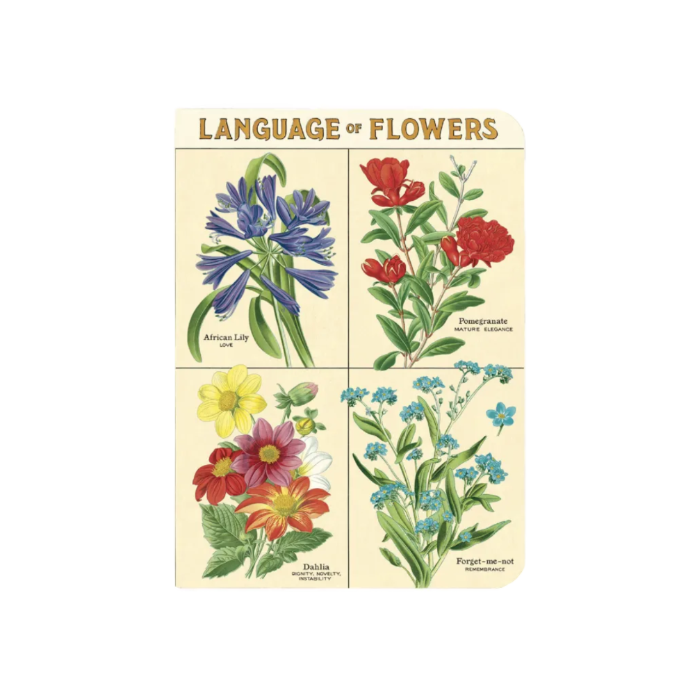 A vintage-style botanical art print titled 'LANGUAGE OF FLOWERS' showing four flower illustrations: African Lily in blue, Pomegranate in red, Dahlias in red, orange, and white, and Forget-me-not in light blue, on an off-white background.