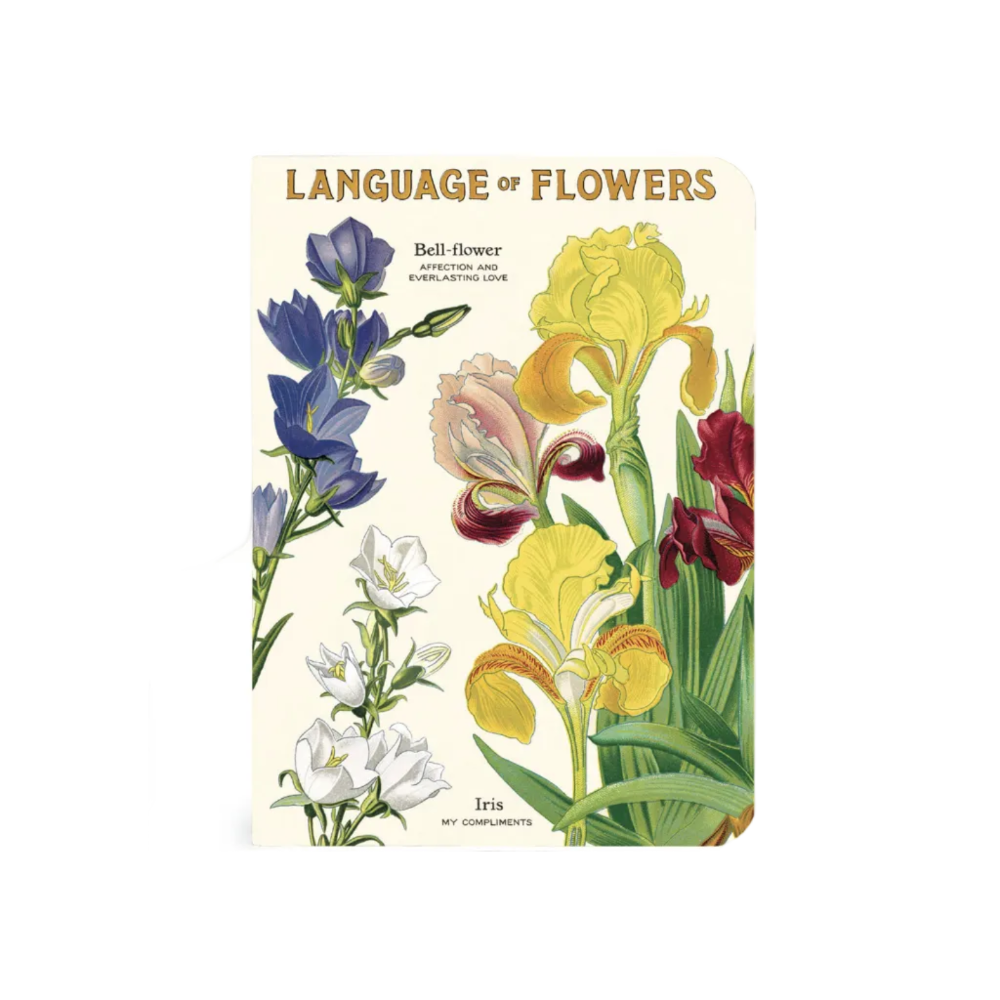 A square card or print titled "LANGUAGE OF FLOWERS" featuring vintage-style floral illustrations, including blue bellflowers, white flowers, yellow irises, and red gladioli on an off-white background.