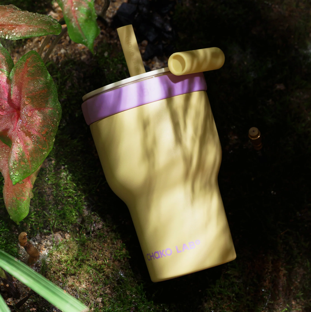 Chako Lab Dual layer Tumbler Yellow Purple