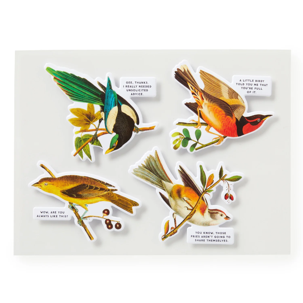 Brass Monkey Salty Birds 1000 Piece Puzzle