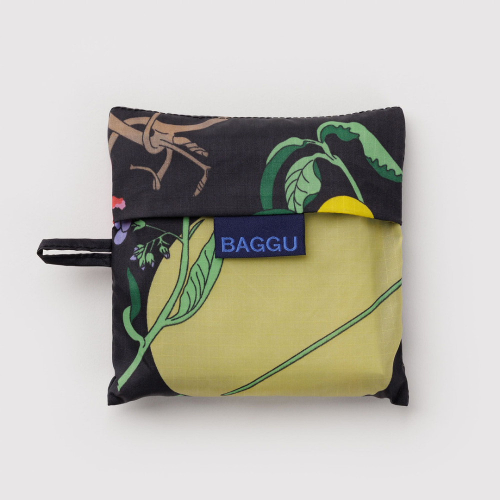 Baggu Standard Reusable Bag Winter Gourd