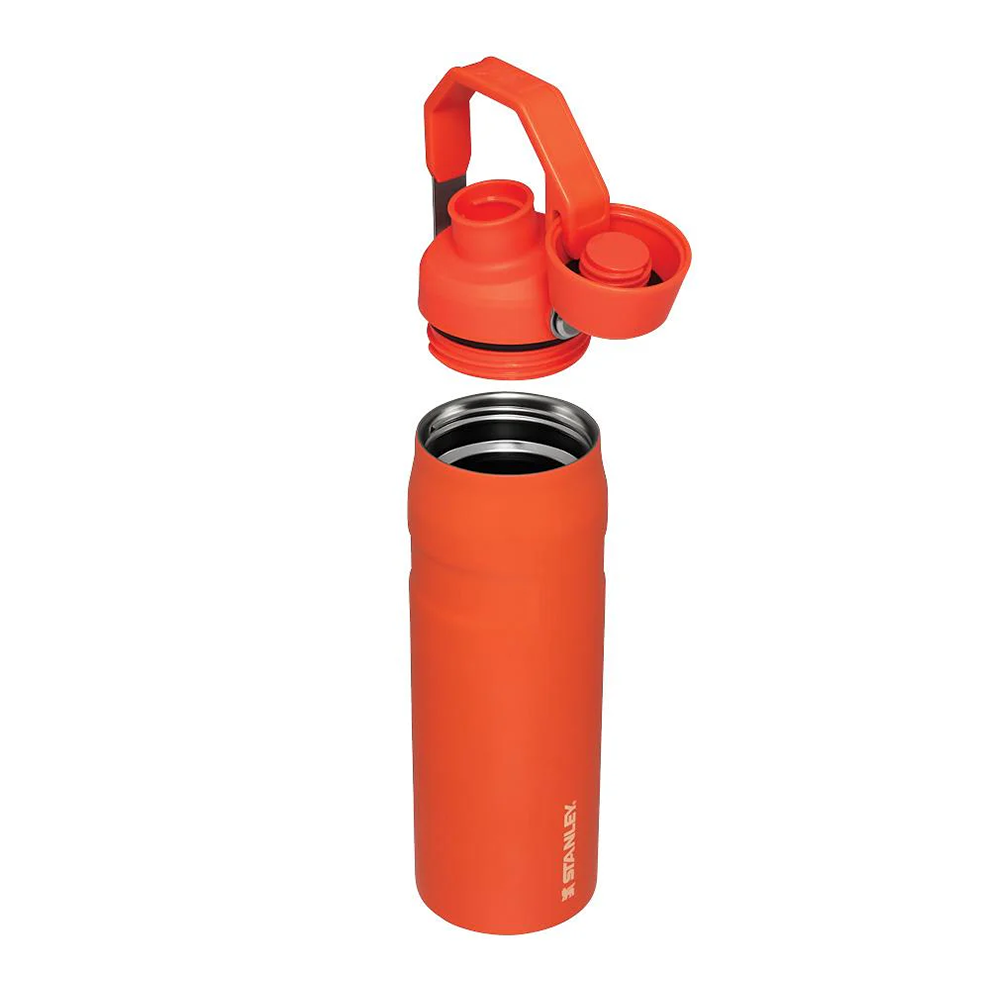 Stanley IceFlow Bottle with Fast Flow Lid 16oz Tigerlily