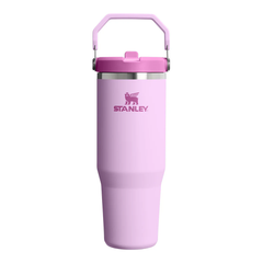 Stanley IceFlow Flip Straw Tumbler 30oz Soft Orchid