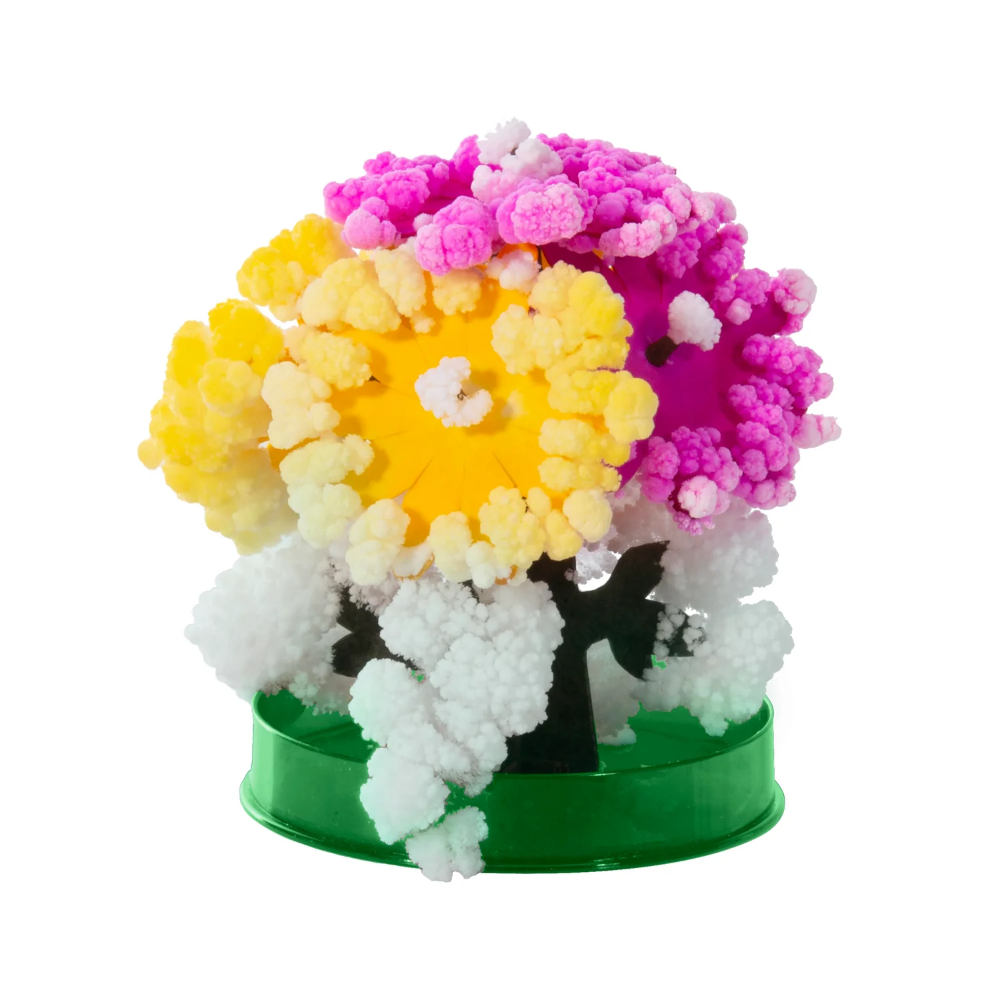 Colorful coral-like structure with pink, yellow, and white colors on a green base against a white background.