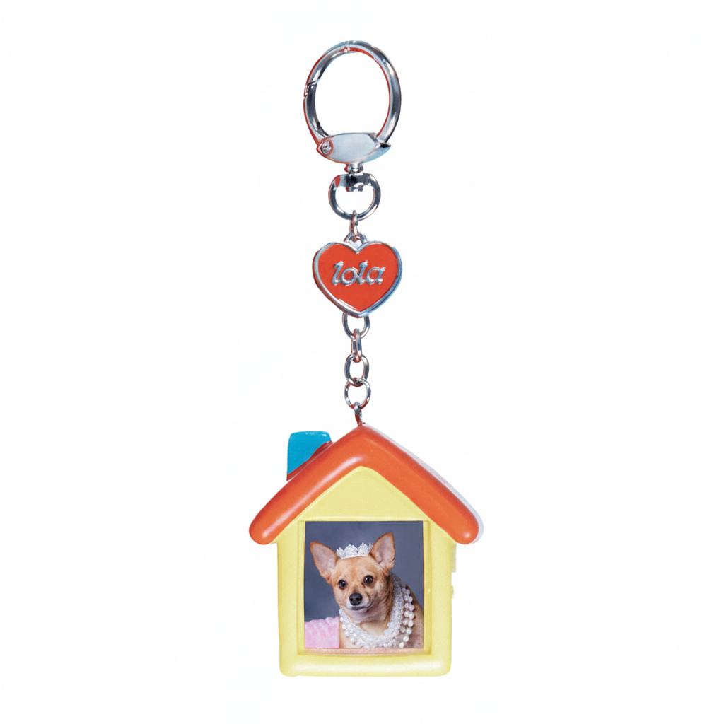Lola Photo Frame Keychain Blind Box Series 1