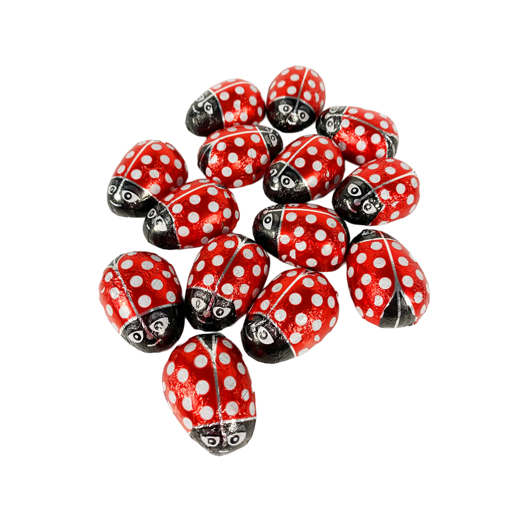 Milk Chocolate Ladybird