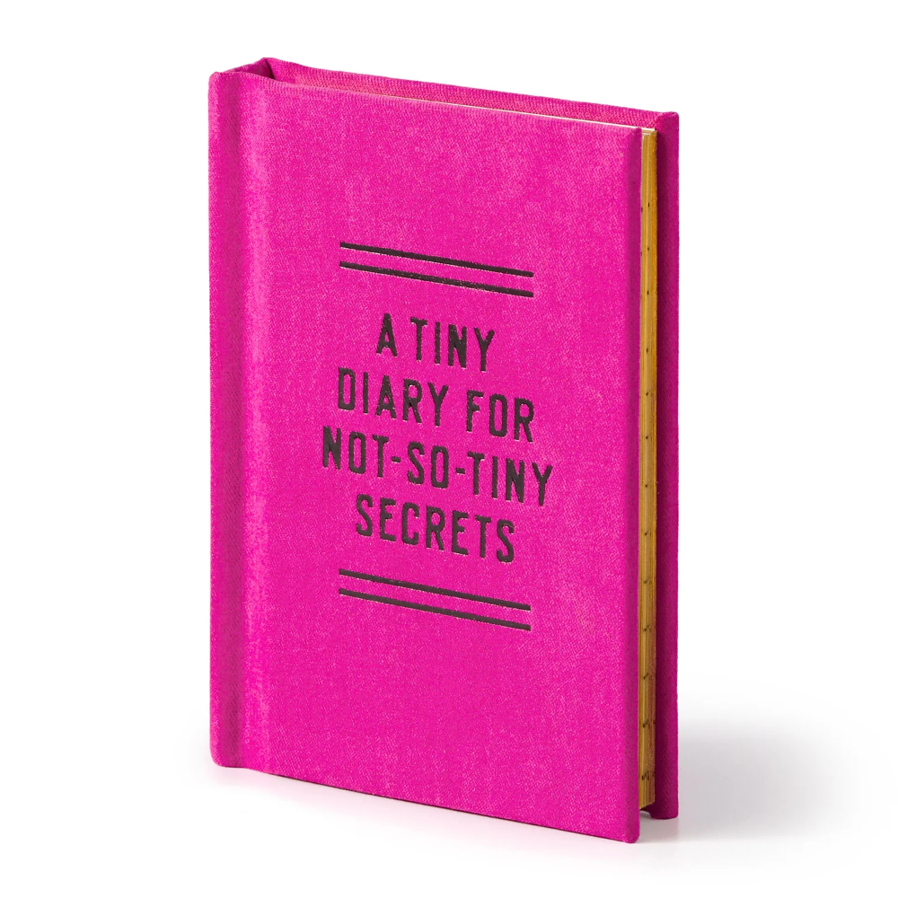 Pink diary with text on a white background