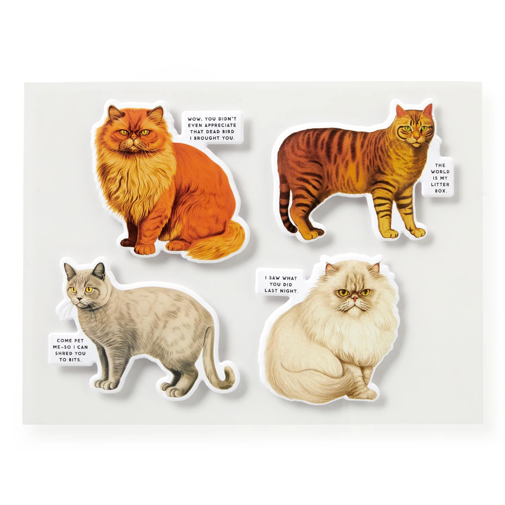 Four cat illustrations with humorous text on a white background
