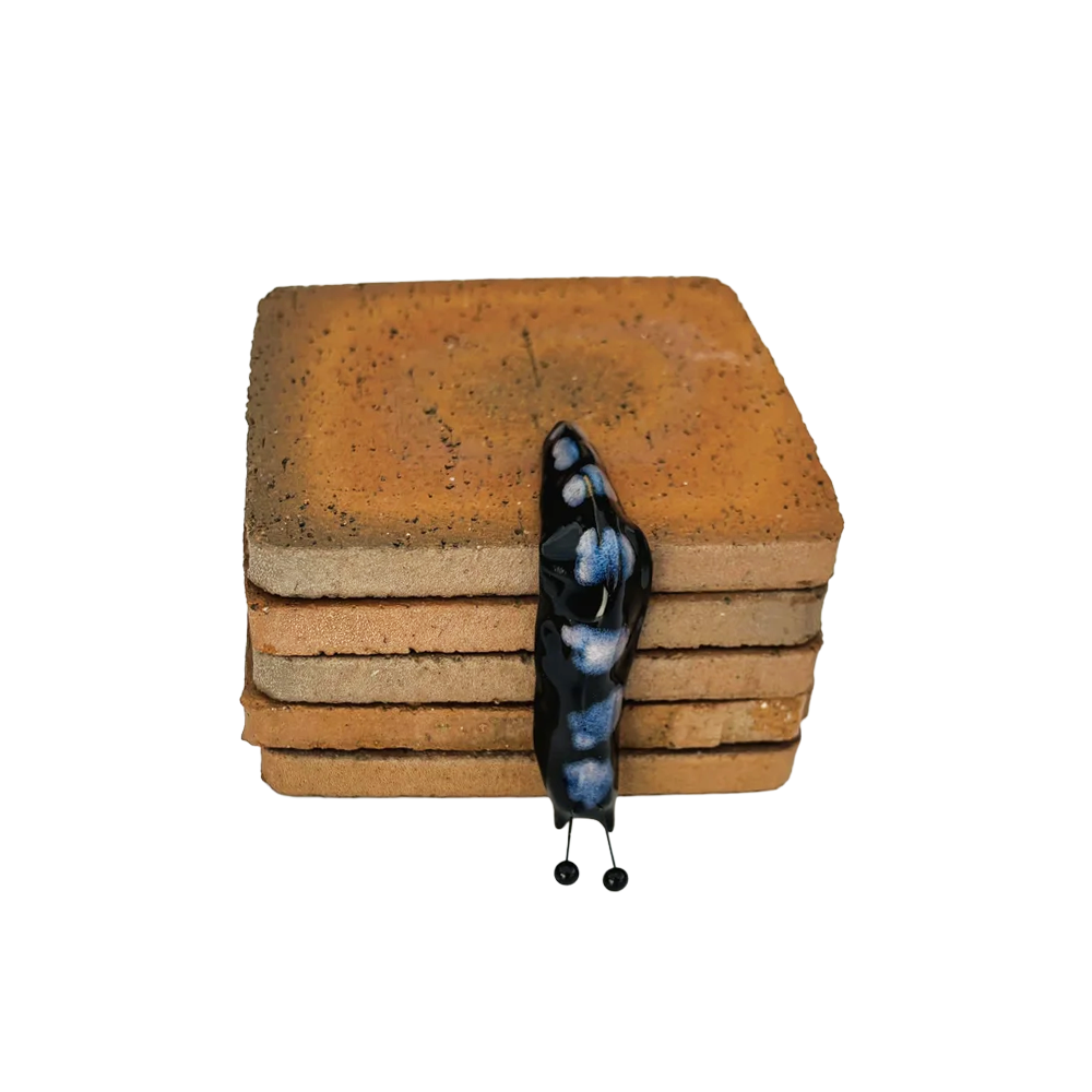 Lava Ceramics Shelf Slug  Black Large Spot