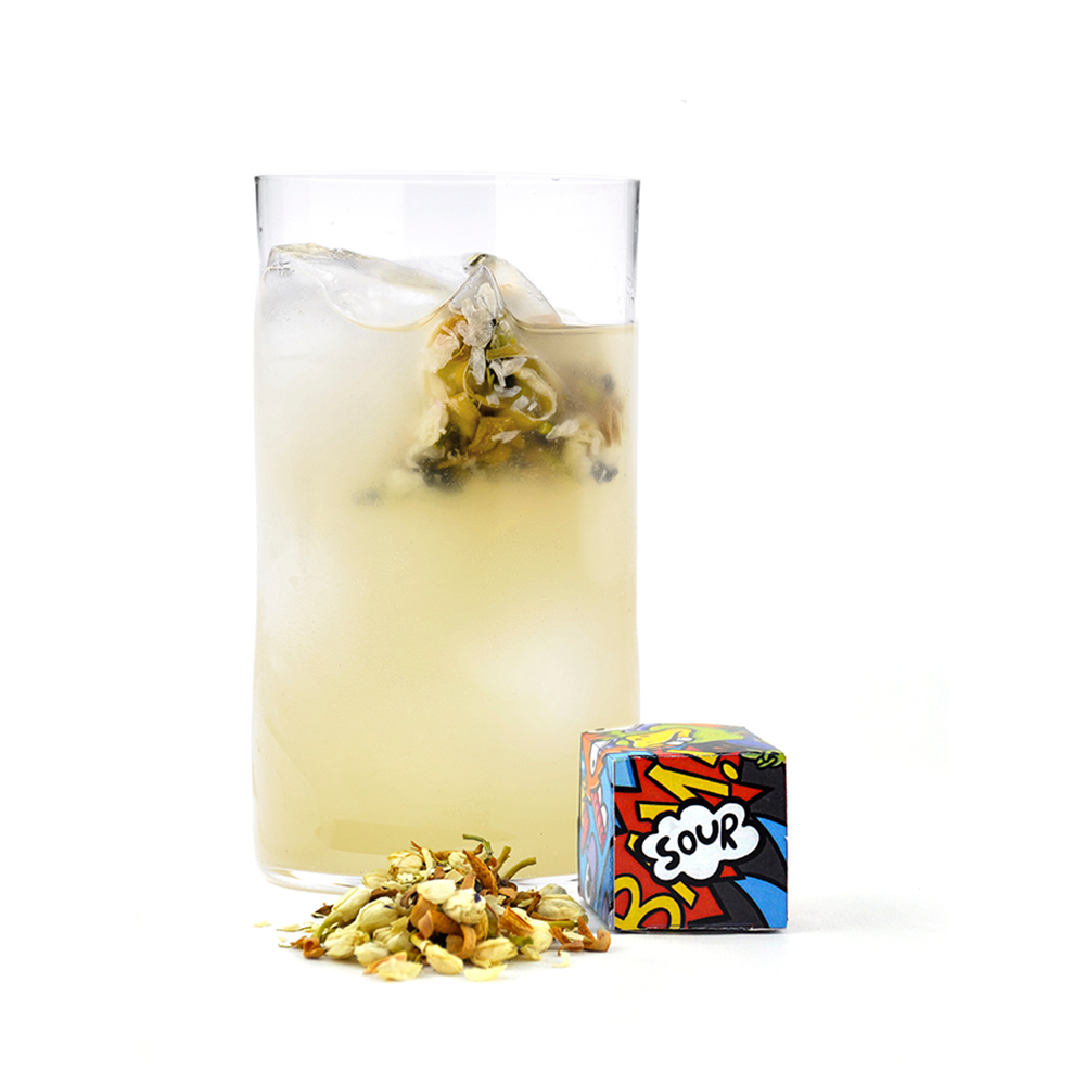 Salmon Guru Cocktail Infuser Pack of 6