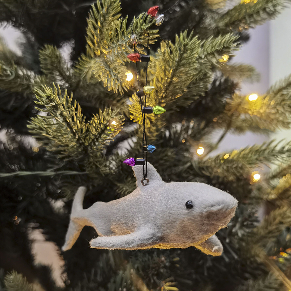 Christmas Decoration Shark with String of Lights