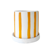 Julia Stripe Planter with Saucer Mustard Small