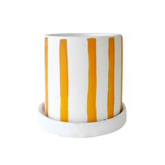 Julia Stripe Planter with Saucer Mustard Small