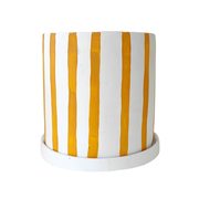 Julia Stripe Planter with Saucer Mustard Large