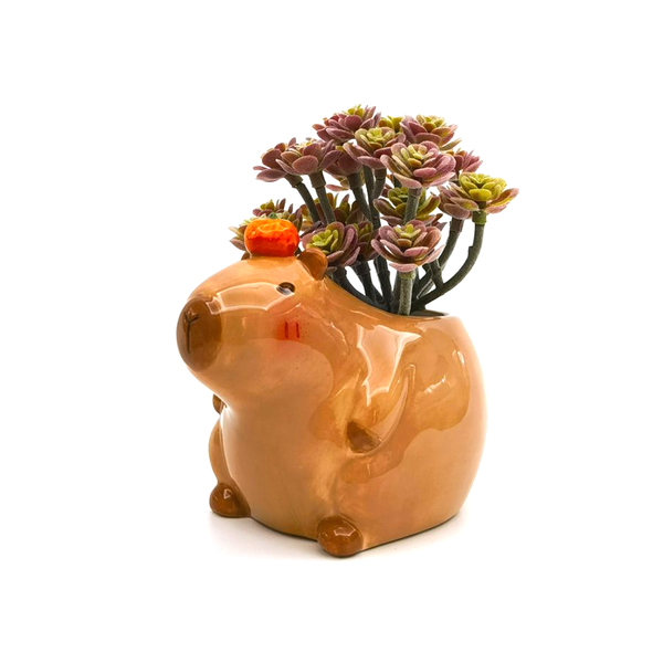 Ceramic Capybara Planter