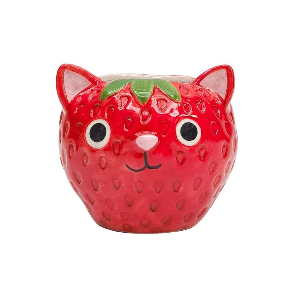 Small Strawberry Face Cat