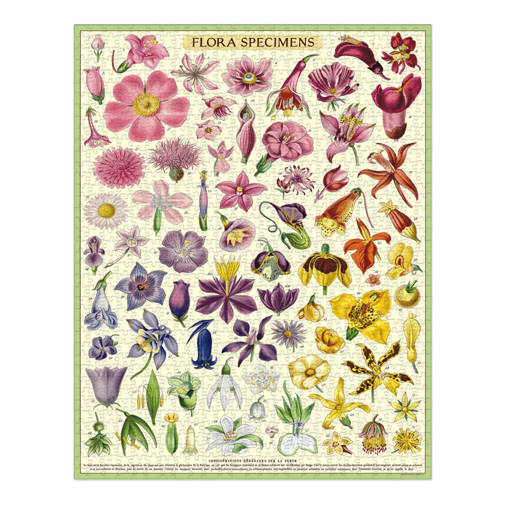 Cavallini 1000 Piece Puzzle Flora Specimens