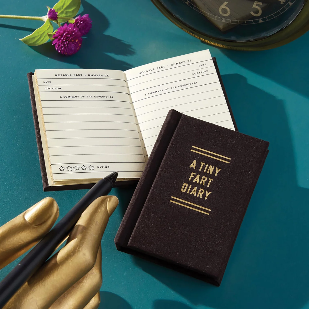 Small notebook titled 'A Tiny Fart Diary' on a teal surface with a hand holding a pen.