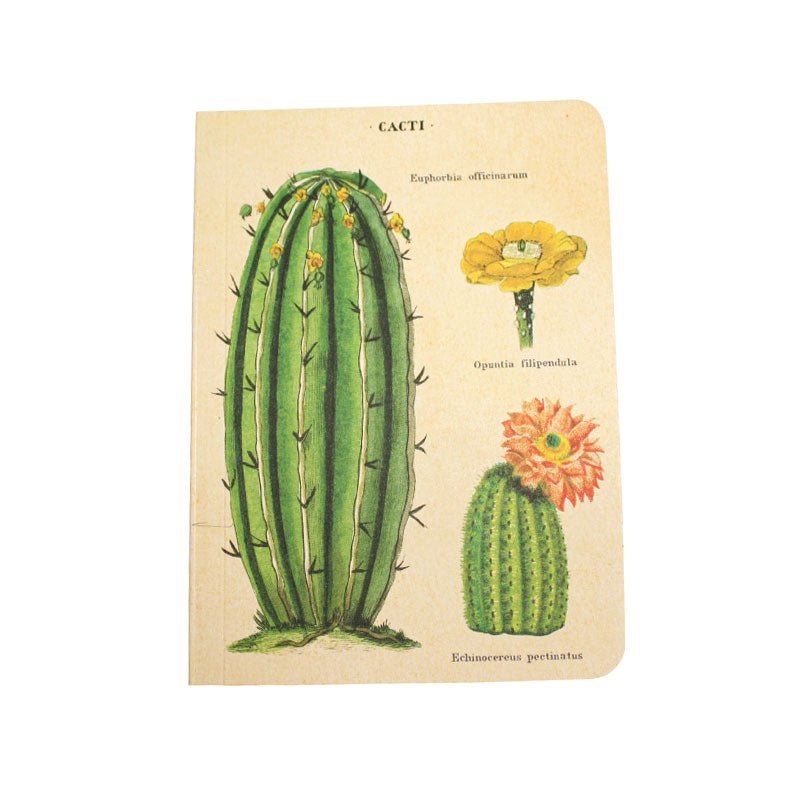 Cavallini Mini Notebook Succulents Blank