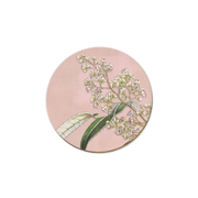 Swamp Lawyer Tataramoa Coaster