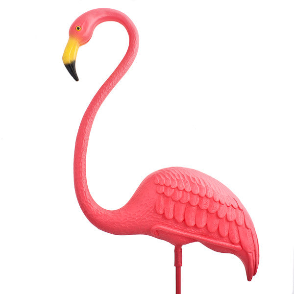The Original Featherstone Realmingo Flamingos