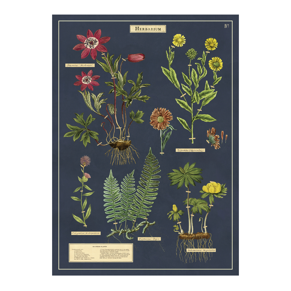 Cavallini Vintage Poster Herbarium