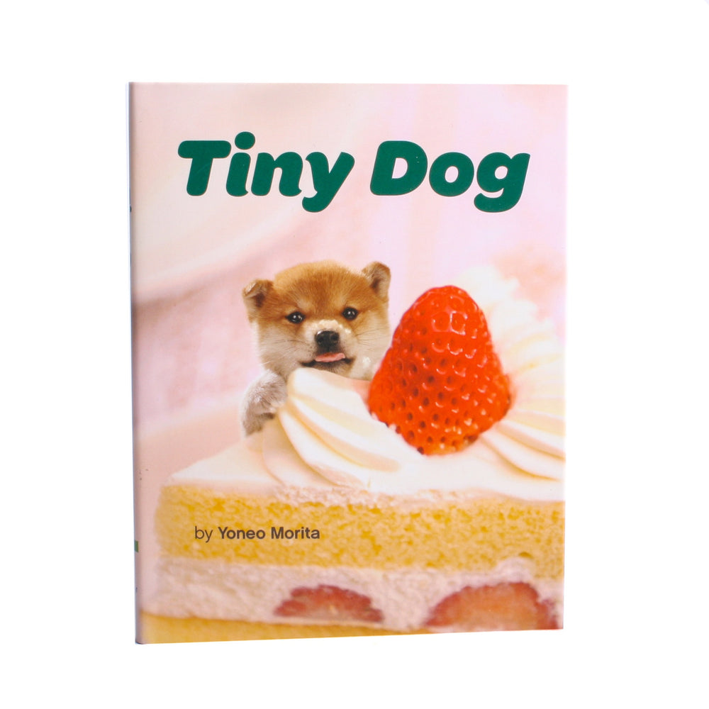 Tiny Dog