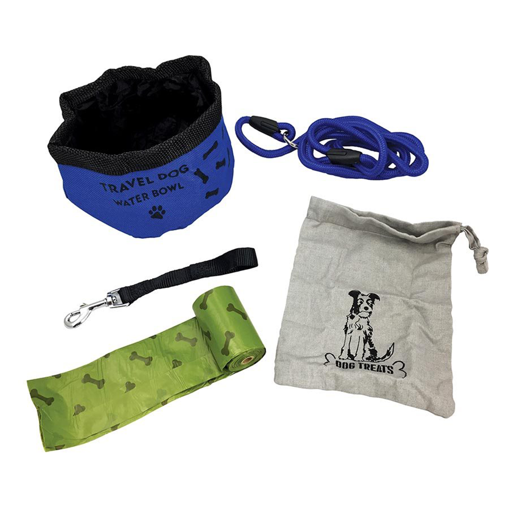 Travel Dog on the Go