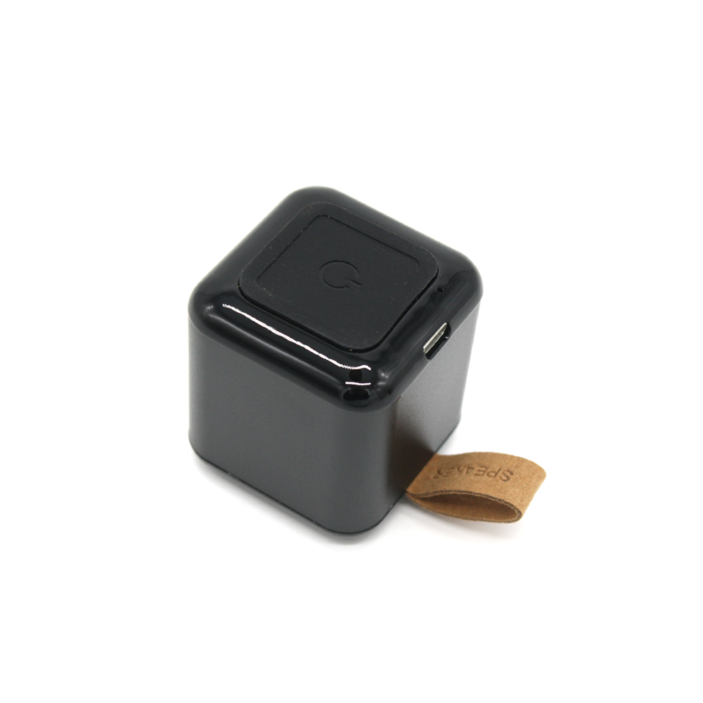 Moana Road Mini Speaker