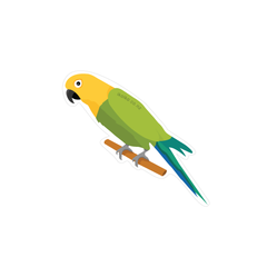 Iko Iko Fun Size Sticker Conure
