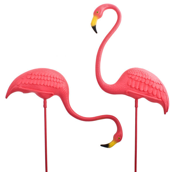 The Original Featherstone Realmingo Flamingos