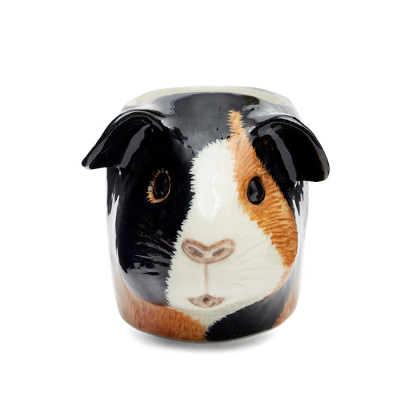 Quail Guinea Pig Multicoloured Face Egg Cup