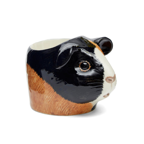 Quail Guinea Pig Multicoloured Face Egg Cup